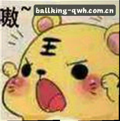 黄磊